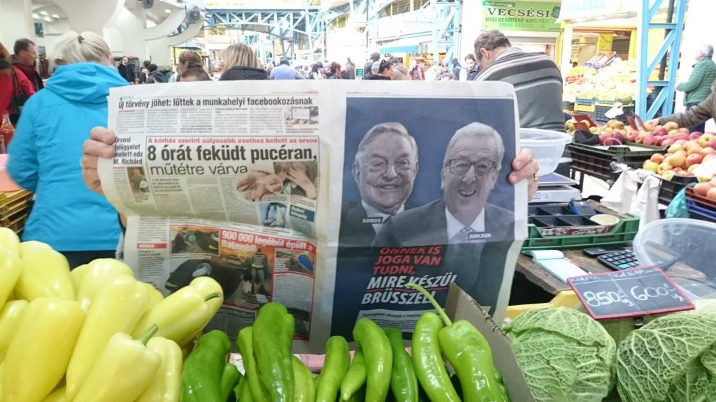 Zöldségek közé kerültek az „idegenek”.