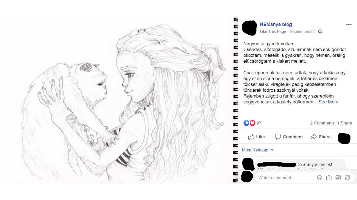 A NemAnya eredeti Facebook blog bejezése
