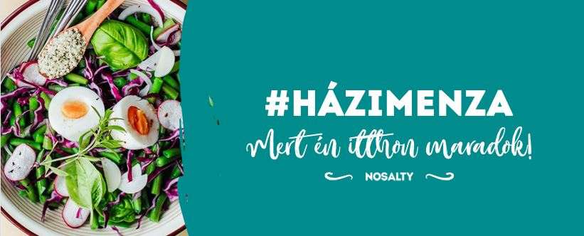 A Nosalty Házimenza kezdeményezése