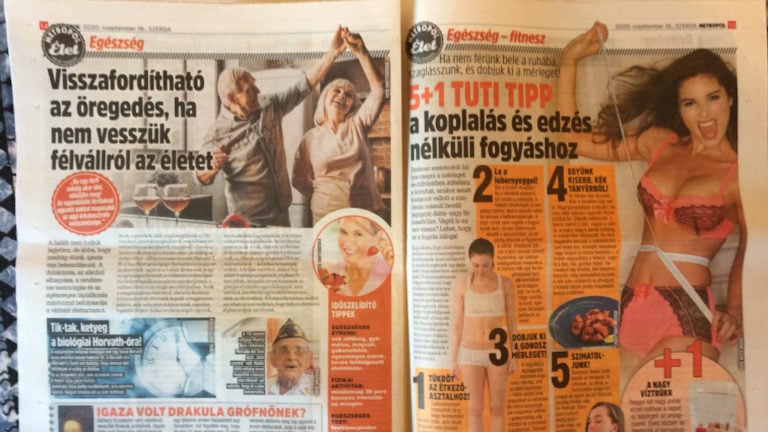 Részlet a Metropol című napilapból