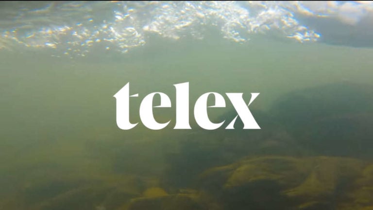 Részlet a Telex „A szemét útja a Tiszán: Ukrajnától Magyarországig” című videójából.