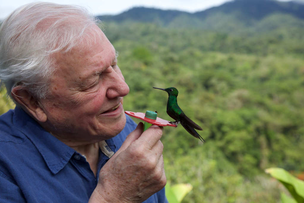 David Attenborough.