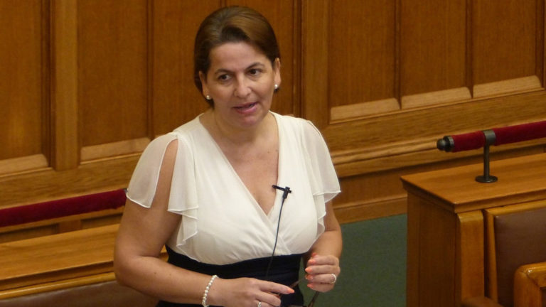 Varga Damm Andrea, a Jobbik országgyűlési képviselője