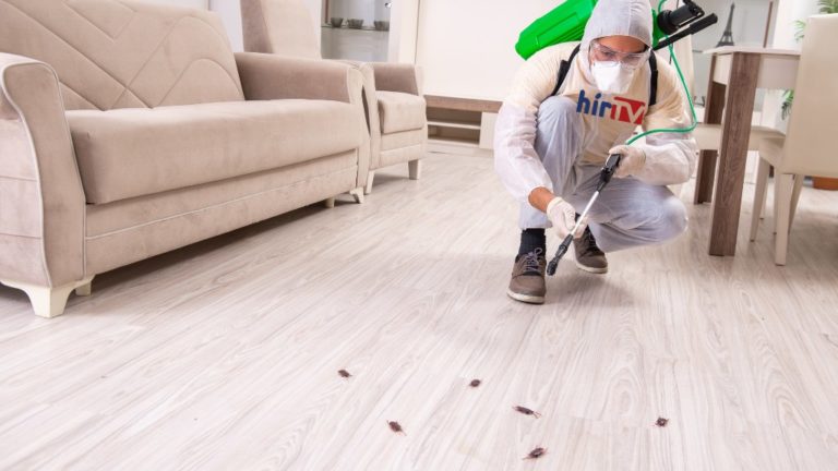 ̶B̶e̶n̶c̶s̶i̶k̶ ̶A̶n̶d̶r̶á̶s̶ Egy kártevőirtó munkában.