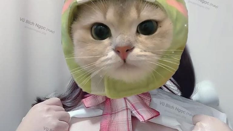 Az egyik, a feltörés után a Dreher közösségi oldalára posztolt fotó.