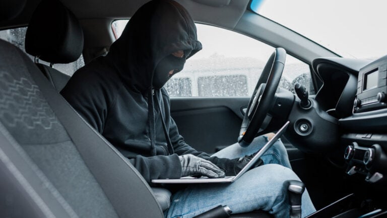 Internetes bűnöző (DDoS), kiberbűnöző