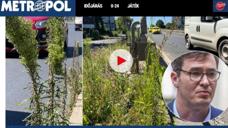 Pályázati felhívás a Metropol címoldalán. (képernyőfotó)