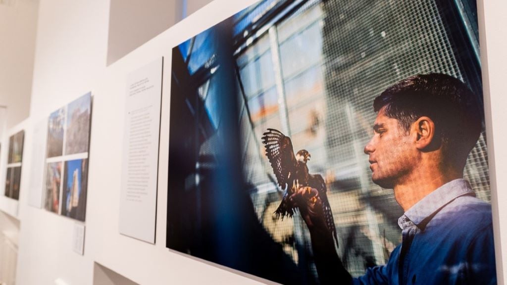 Stiller Ákos fotója a National Geographic Magyarország kiállításán