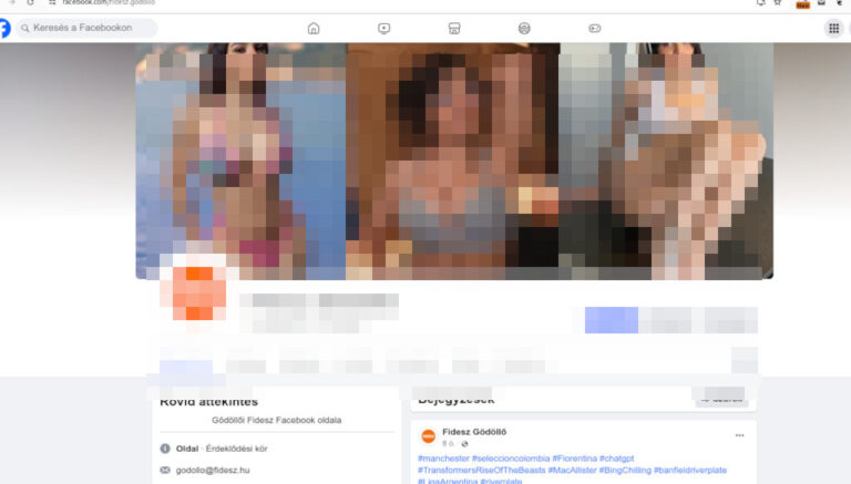 A Fidesz Gödöllő Facebook-oldalának egyik, még kevésbé kemény részlete