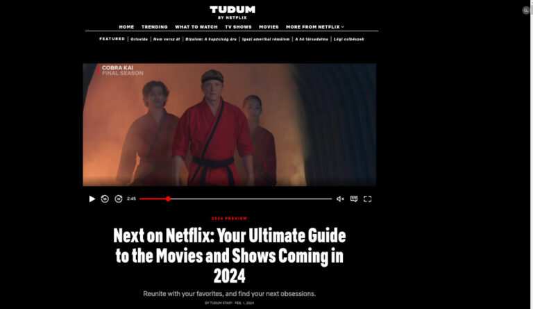 A Netflix 2024-es felhozatalával kapcsolatos oldal egy részlete