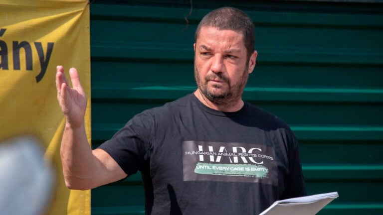 Bóday Pál állatvédő, a Macskaárvaház Alapítvány kuratóriumi elnöke