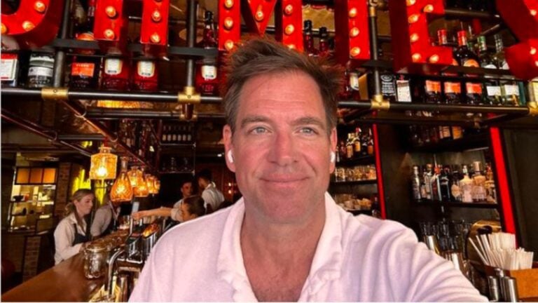 Michael Weatherly Budapesten