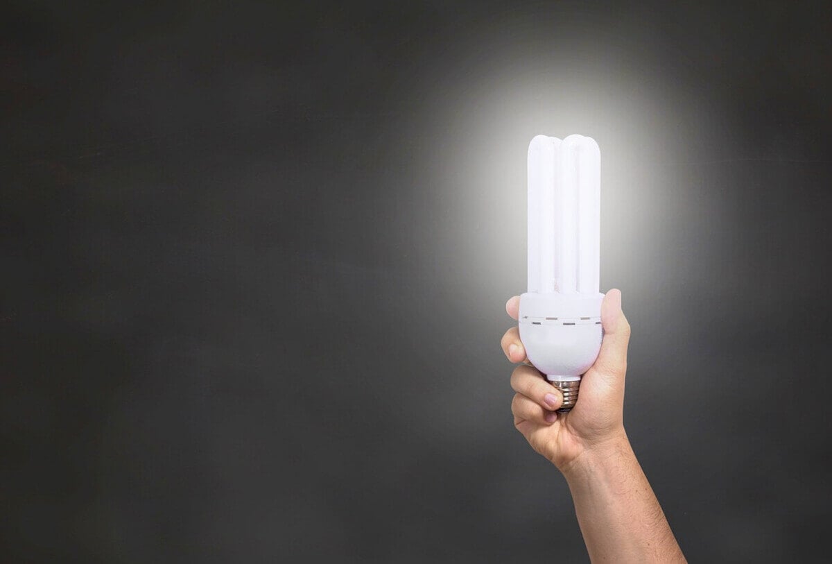 led izzó