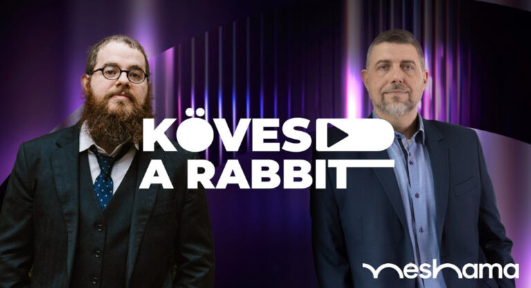Köves(d) a rabbit