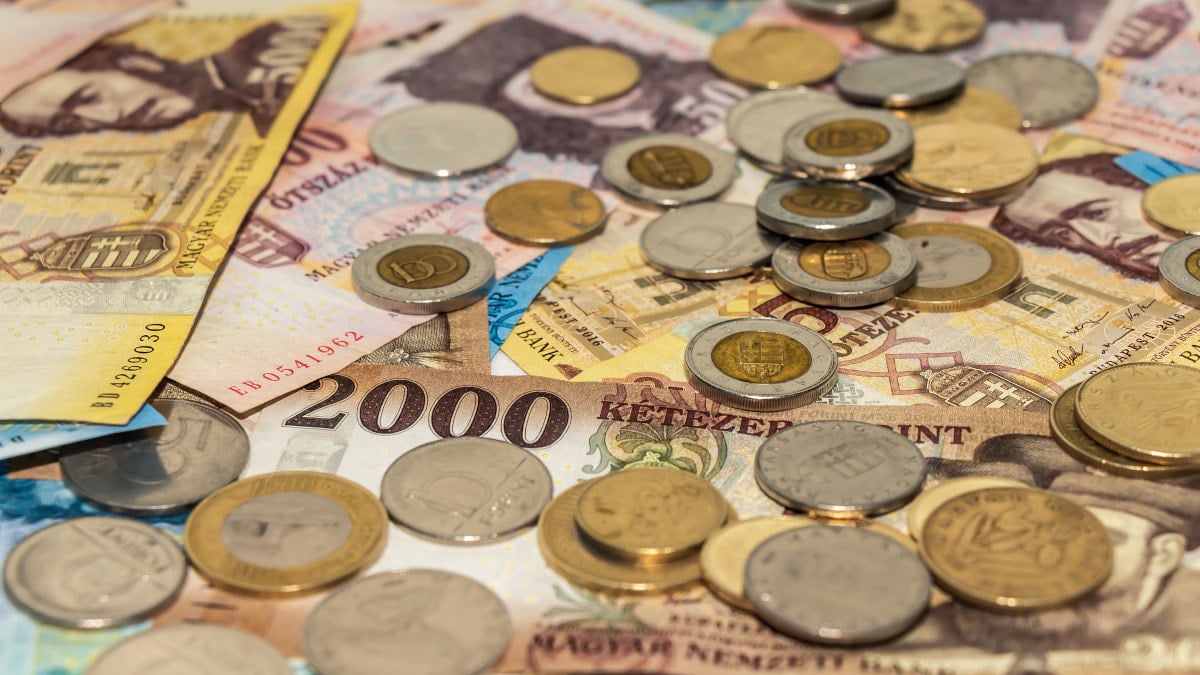 pénz, érme, forint