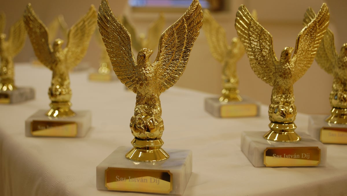Sas István Díj