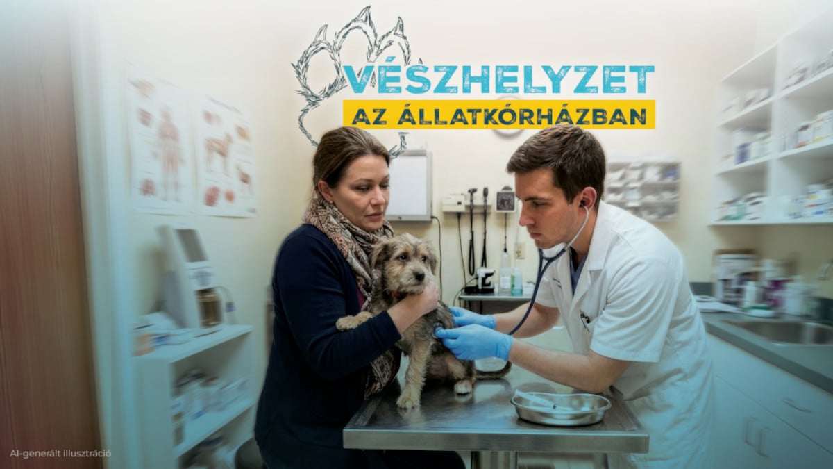 Vészhelyzet az állatkórházban